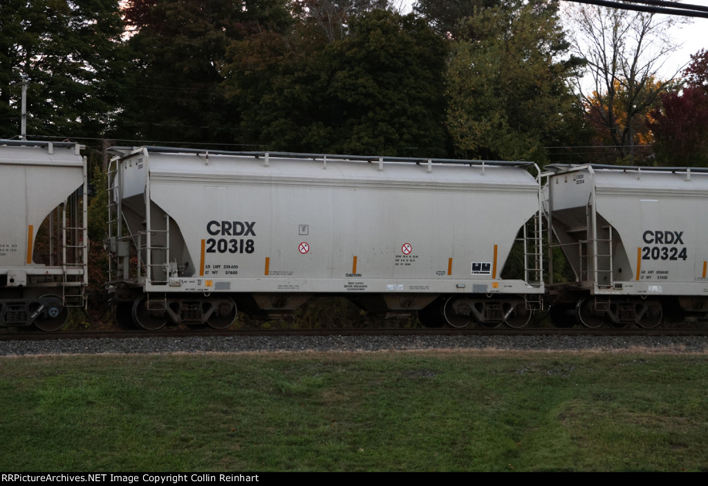 CRDX 20318